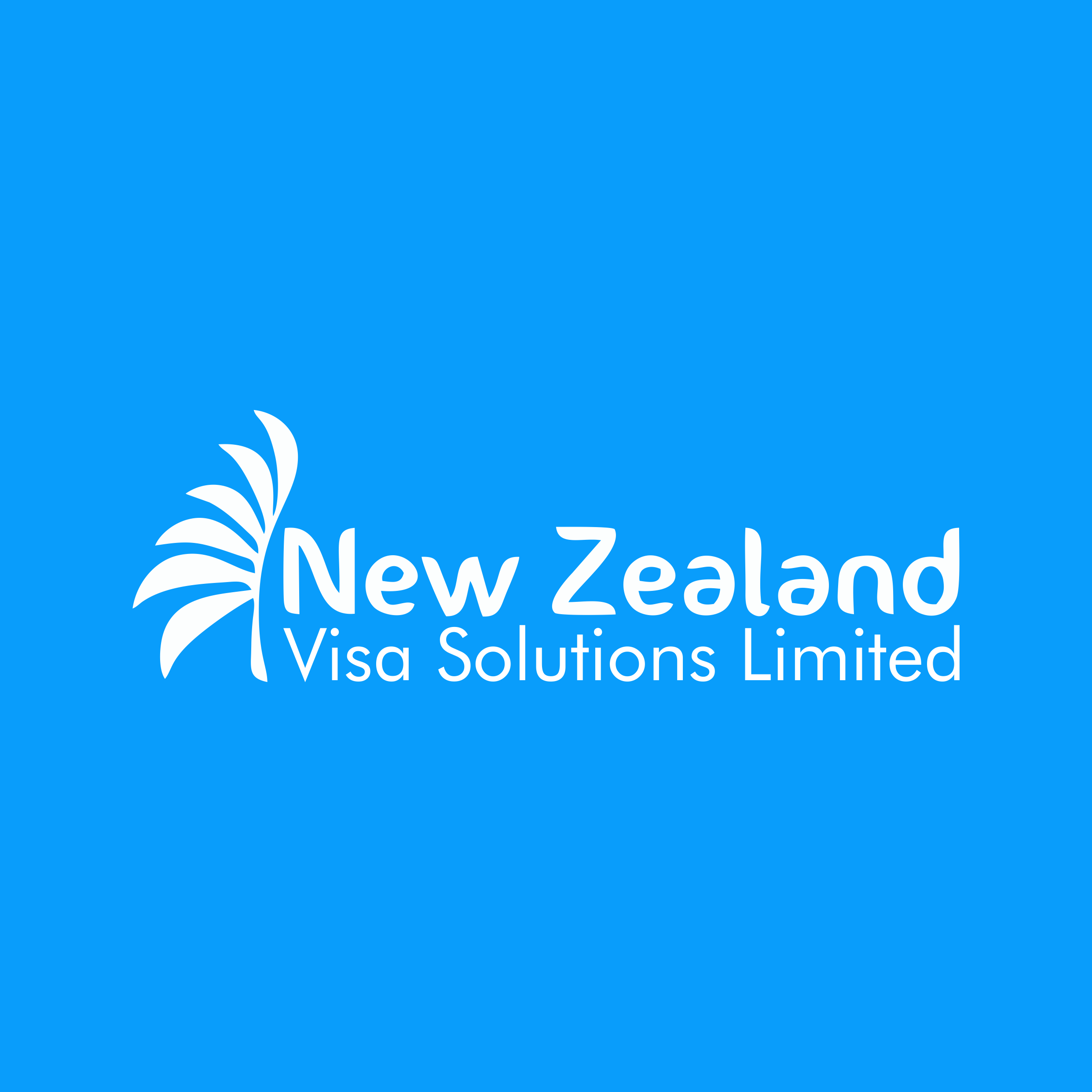 NZ Visa Solutions