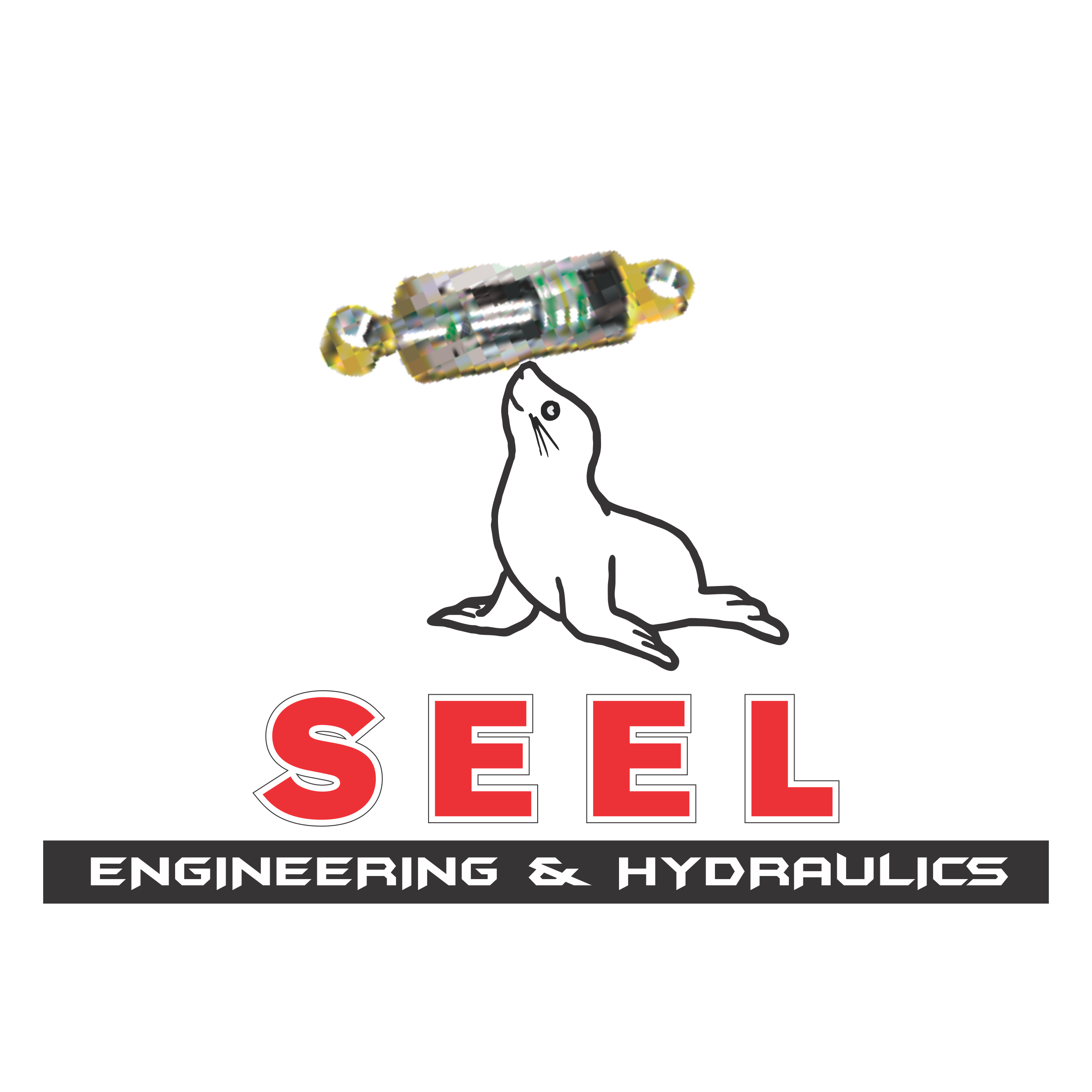 Seel Hydraulics and Engineering